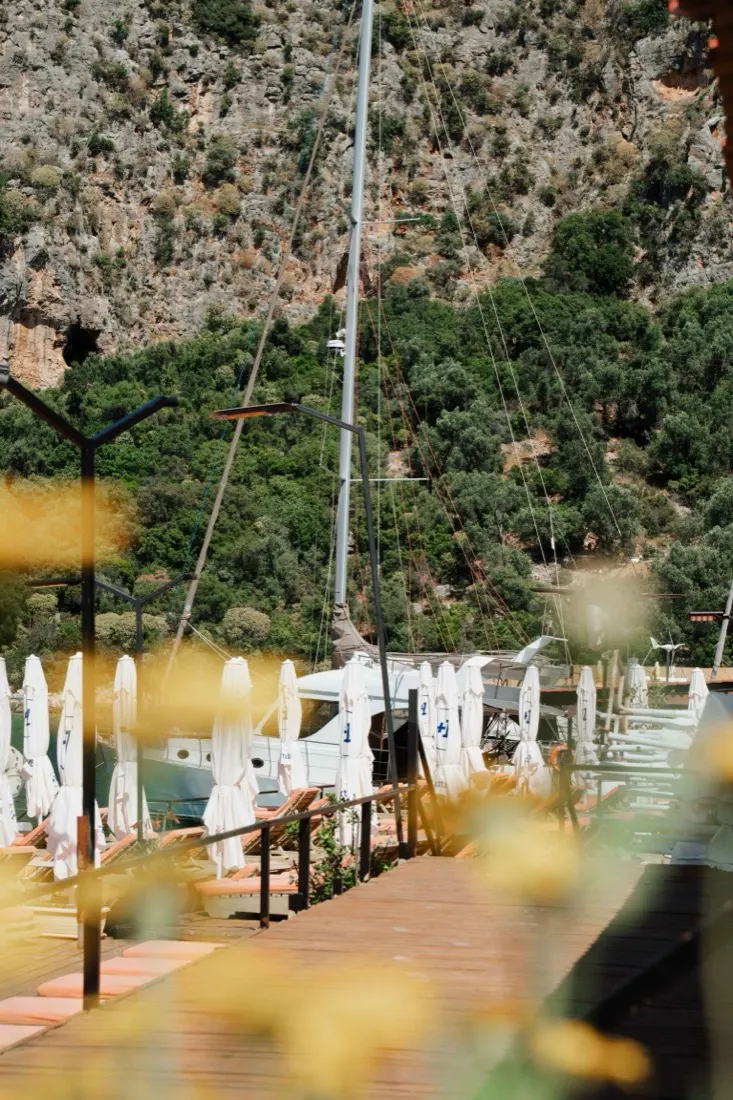 Beach alanından kare